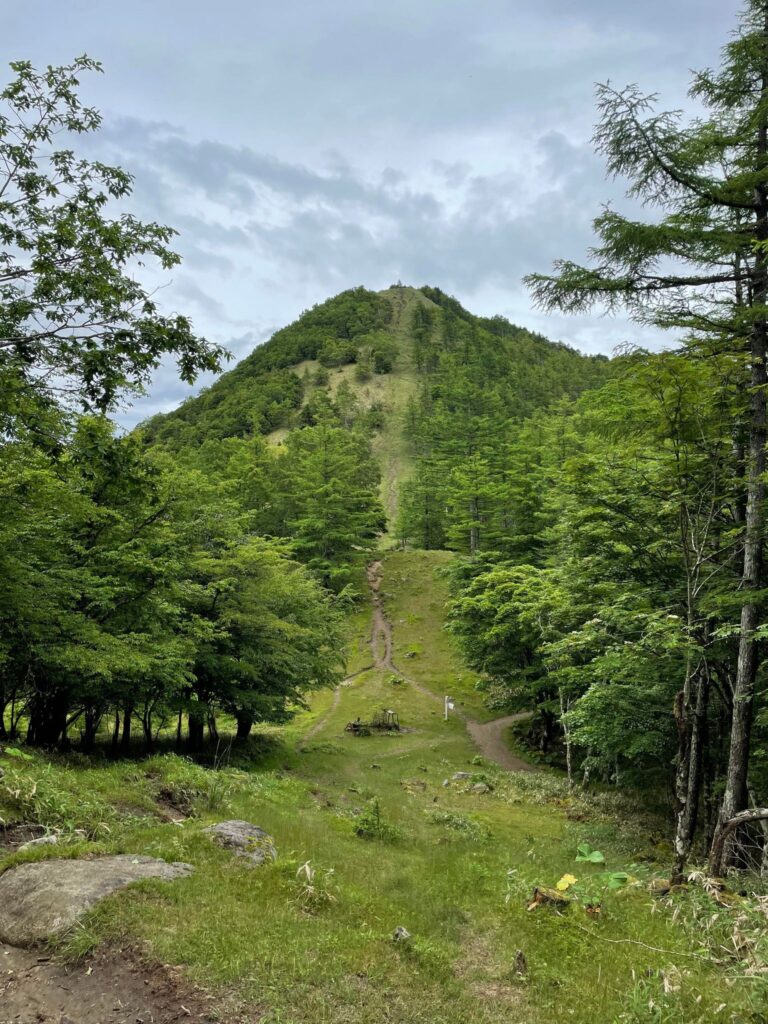 笠取山